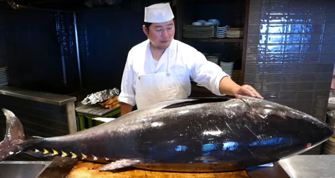 Tuna Gorontalo Jadi Favorit di Negara Jepang