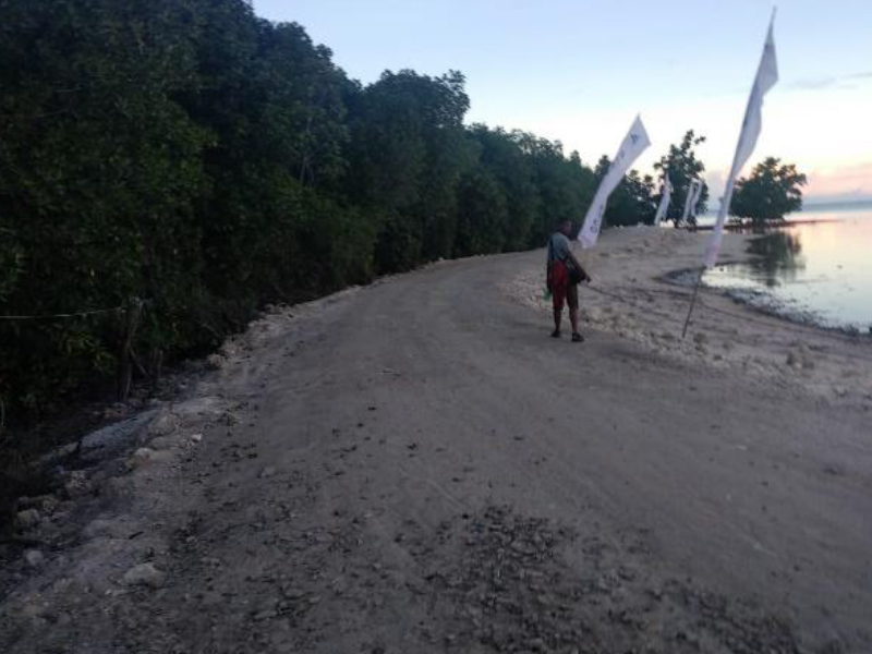 Pemerintah Boalemo Diduga Merusak Mangrove Untuk Kepentingan Pantai Ratu