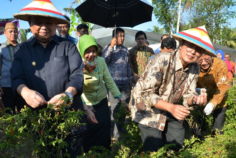 BI: Sektor UMKM Mampu Dorong Pertumbuhan Ekonomi Gorontalo