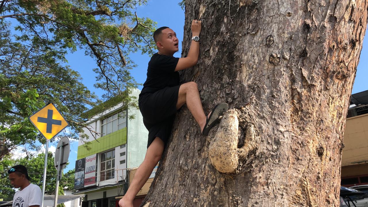 Hari Pohon Sedunia: Masyarakat Gorontalo Ramai-Ramai Peluk Pohon