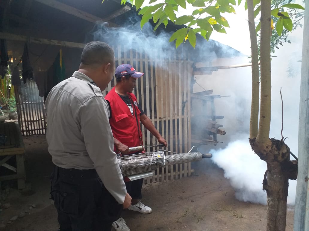 Waspada, DBD Mulai Mewabah di Kabupaten Gorontalo