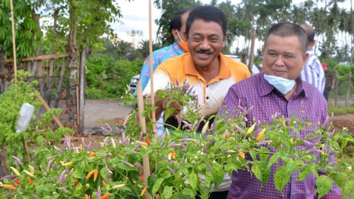 Wagub Gorontalo Minta Dinas Pertanian Kembangkan Kawasan Hortikultura