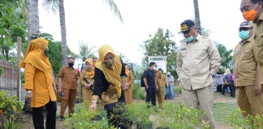 Pemprov Gorontalo Maksimalkan Program Berkebun di Pekarangan Rumah