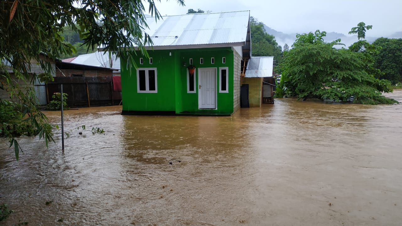 Japesda: Banjir di Gorontalo Akibat Laju Deforestasi