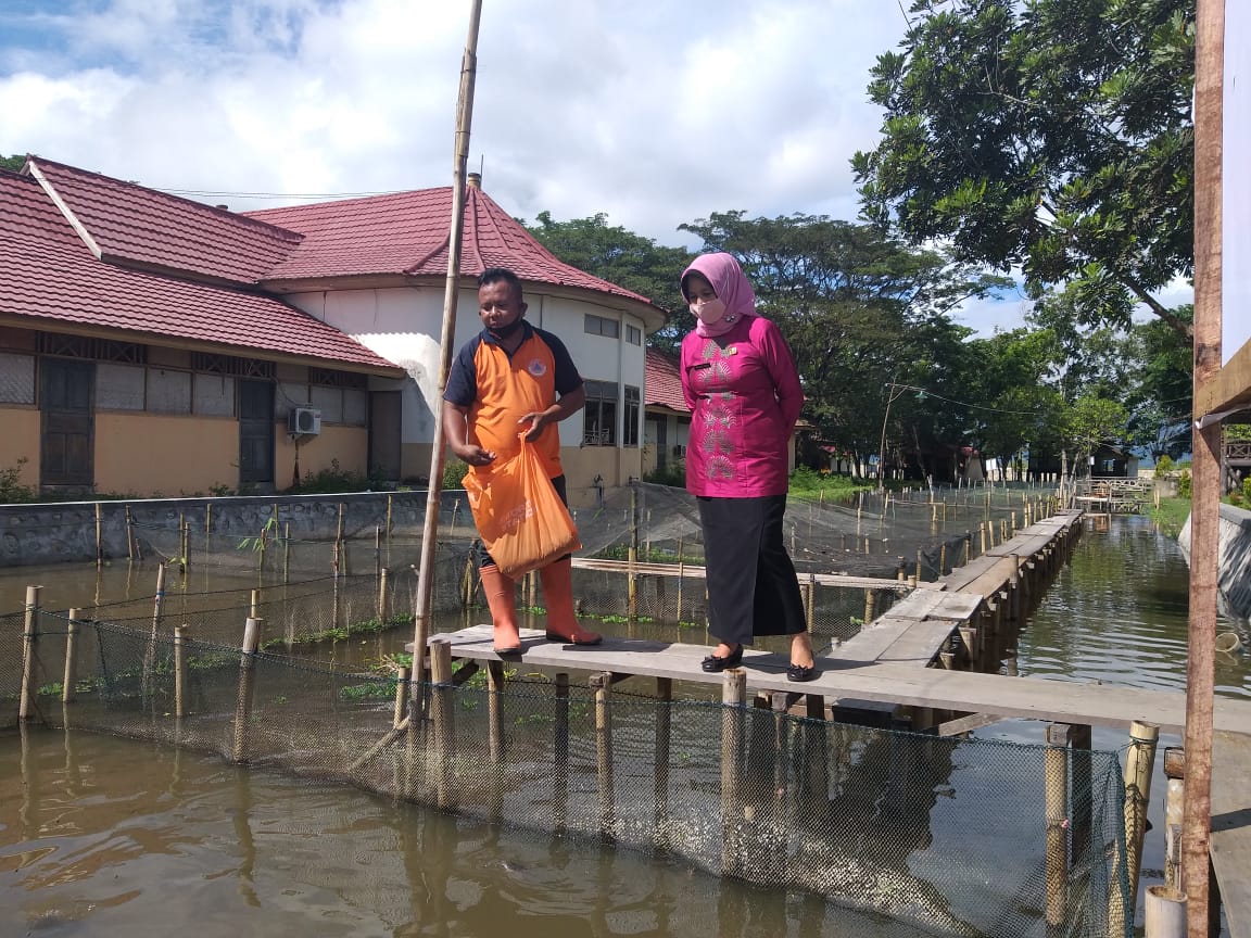 Budidaya Ikan Lele di Pentadio Resort Jaga Ketahanan Pangan