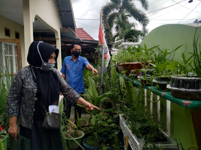 Lomba Pekarangan Pangan Sambut Hut Kemerdekaan di Gorontalo
