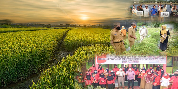 Gorontalo Raih Penghargaan Terbanyak di Bidang Pertanian pada Tingkat Nasional