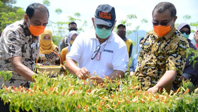 Rusli Harap Gorontalo Tidak Lagi Memasok Cabai dari Luar Daerah