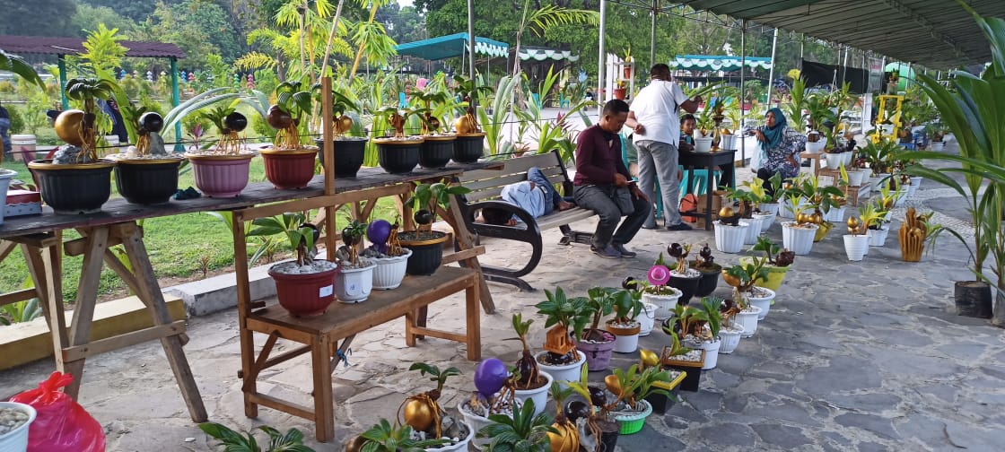 Pemkab Gorontalo Gelar Festival Kelapa Nasional