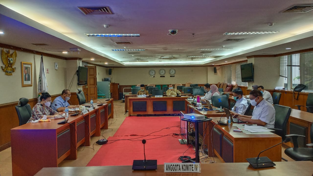 Komite IV BAP DPD RI Rapat Dengan BPK Bahas Laporan Keuangan Daerah Selama Pandemi