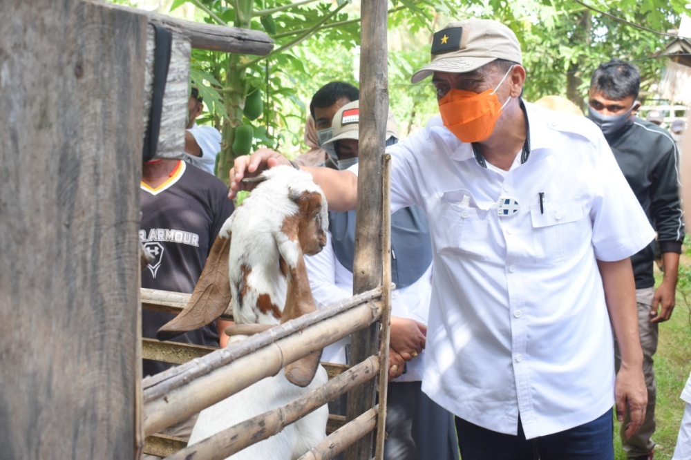 Dinas Pertanian Gorontalo Monitoring dan Evaluasi Program di Kabupaten/Kota
