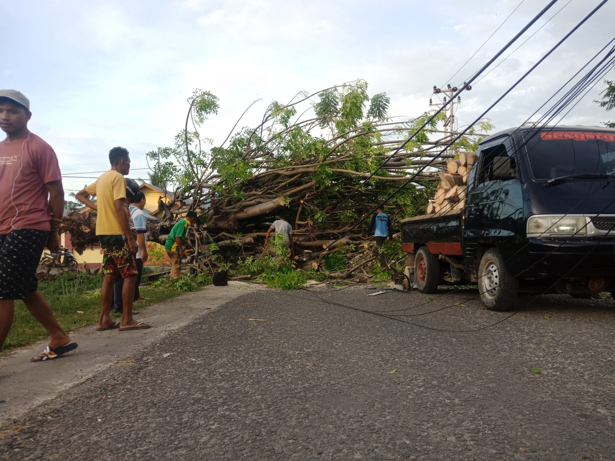 Dua Pohon Tumbang di Gorontalo Putuskan Kabel Listrik