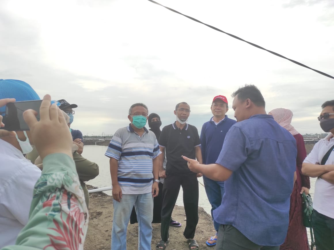 Revitalisasi Tambak Udang di Lampung Dianggap Mendesak Dilakukan