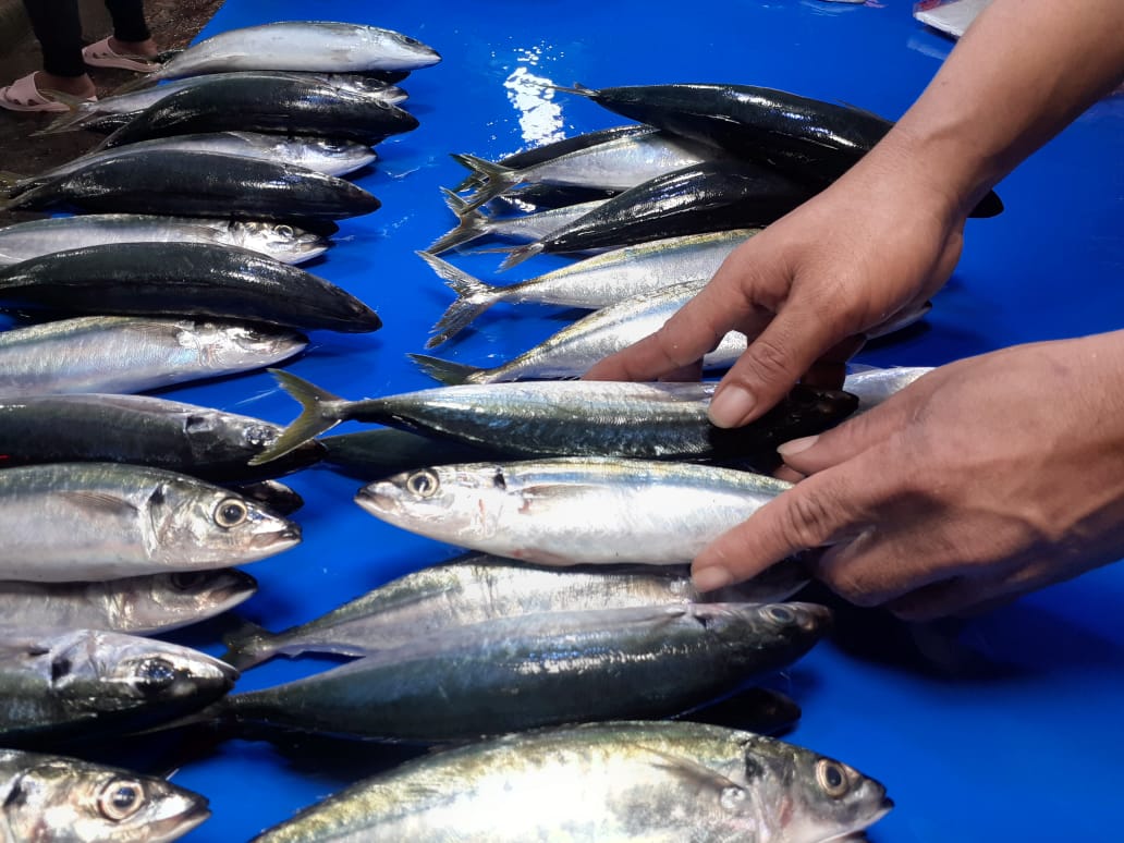 Akibat Cuaca Buruk, Harga Ikan di Pasar Masomba Naik Hingga 20 Ribu