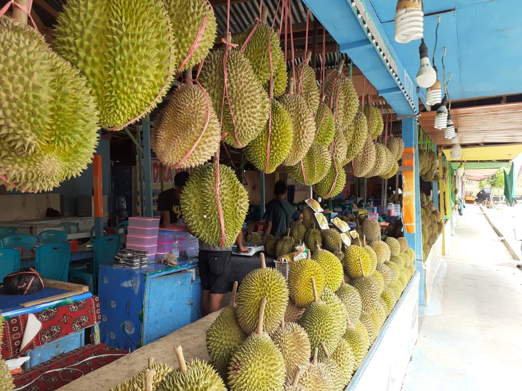 Pedagang Durian