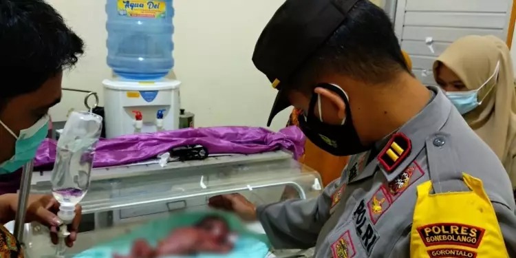 Penemuan Bayi dalam Kardus di Gorontalo, Begini Pesan dari Orangtuanya
