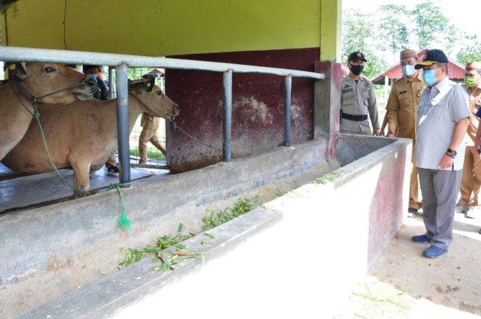 Pemprov Gorontalo Kembangkan Sarpras Balai Perbibitan Ternak