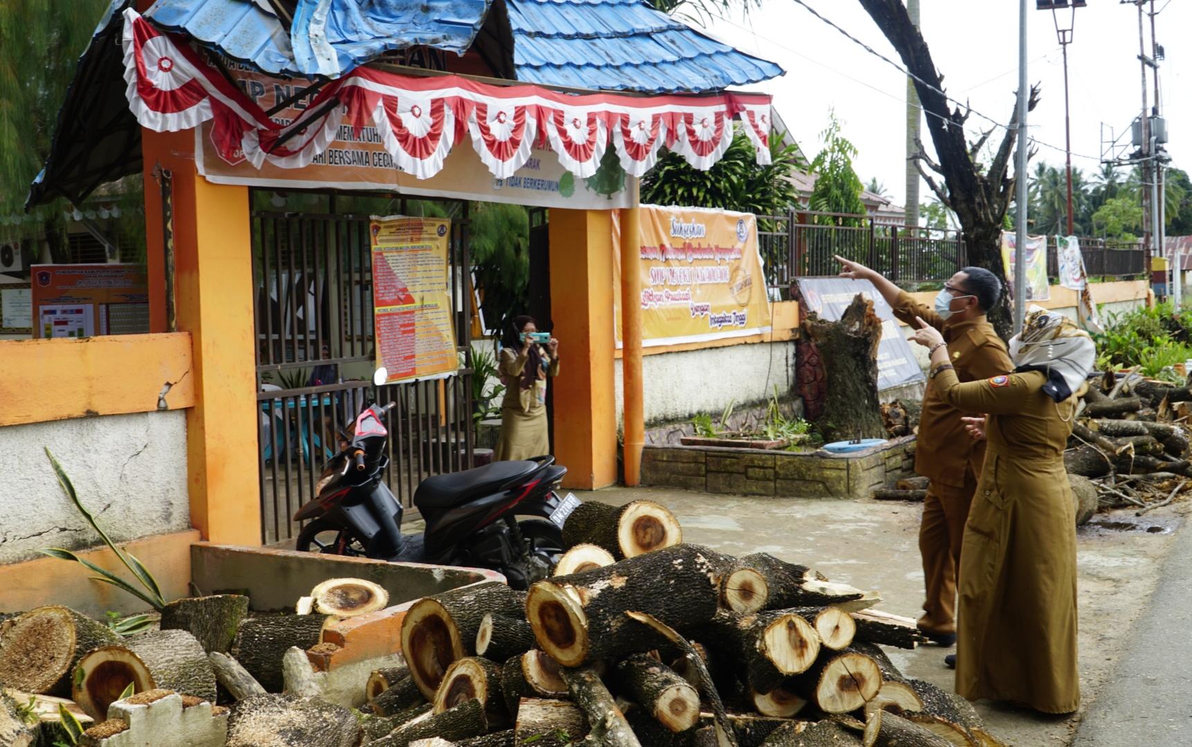 DLH Gorut Diminta Gesit Deteksi Pohon Rawan Tumbang