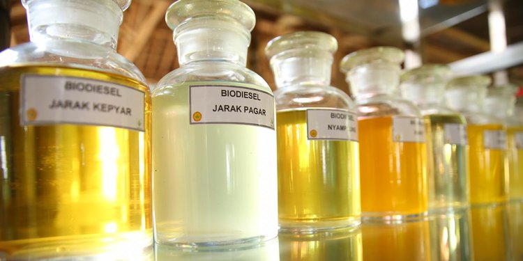 Kementerian Energi dan Sumber Daya Mineral Tetapkan Harga Pasar Biodiesel Rp14.436 Per Liter