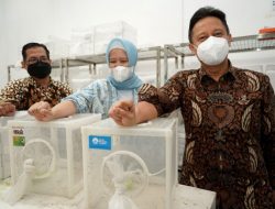 WMP Yogyakarta Ciptakan Inovasi Baru Cegah Penyebaran DBD