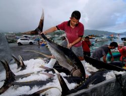 Pemerintah Terus Perluas Akses Ekspor bagi Industri Ikan Skala Kecil