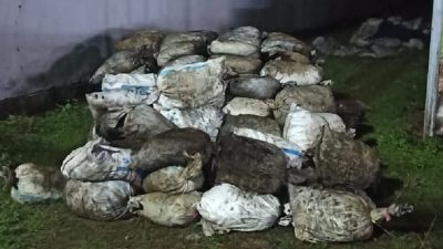 Warga cegat Mobil Truk berisi 160 karung Batu Hitam ilegal milik Warsono