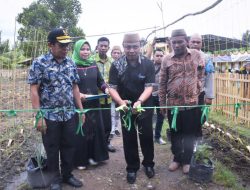 Roni Sampir : Green House Jadi  Solusi Bagi Wanita Tani Untuk Tingkatkan Ekonomi Keluarga