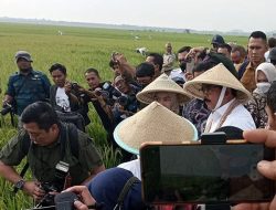 Menteri ATR/BPN Akan Tindak Tegas Seluruh Mafia Tanah di Indonesia
