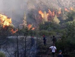 Antisipasi Kebakaran Hutan, Polisi Gelar Operasi Bina Karuna Kapuas