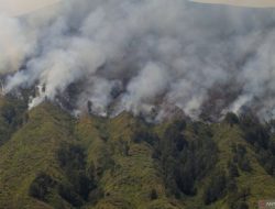 BNPB Nilai Denda Pelaku Pembakaran Hutan Gunung Bromo Masih Kurang