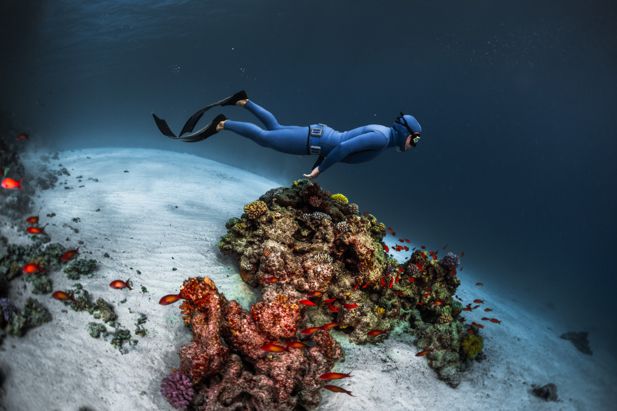 keindahan bawah laut dengan freediving