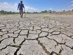 BMKG Prediksi Fenomena El Nino Berakhir Maret 2024