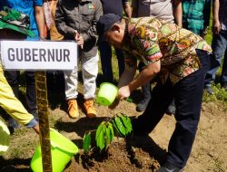 Pemprov Gorontalo Canangkan Desa Tulabolo Timur Jadi Kampung Durian