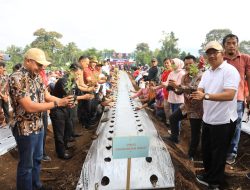 ASN Pemkot Kotamobagu Tanam 10 Ribu Pohon Cabai di Bukit Ilongkow