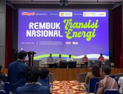 Untuk Menjadi Negara Maju, Indonesia Harus Menggunakan Energi Bersih dan Berkelanjutan