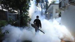 Kasus Dengue di Indonesia Meningkat 2x Lipat