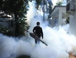 Kemenkes Laporkan Kasus Dengue di Indonesia Meningkat 2x Lipat