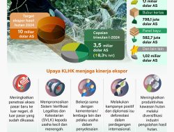 Infografik – Kinerja ekspor hasil hutan triwulan 2024