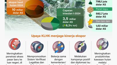 Infografik – Kinerja ekspor hasil hutan triwulan 2024