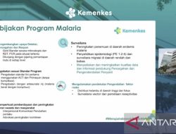 Penyakit Malaria di Indonesia Mayoritas Dari Jenis Falsiparum, Vivaks, dan Knowlesi