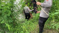 Pencarian Korban Tenggelam di Sungai Bulango