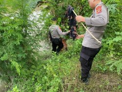 Unit K-9 Samapta Polda Gorontalo Bantu Pencarian Korban Yang Diduga Tenggelam di Sungai Bulango