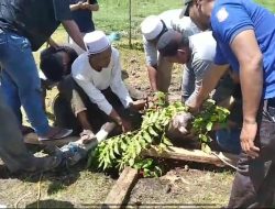 Majelis Muhyin Nufuus Gorontalo Sembelih 12 Hewan Kurban