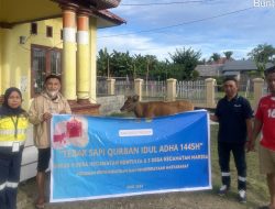 Lewat Program Tebar Hewan Qurban, PGP Bagikan 23 Ekor Sapi