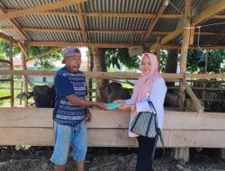 Dinas KPP Kota Gorontalo Lakukan Pemantauan dan Pemeriksaan Hewan Qurban Jelang Hari Raya Idul Adha