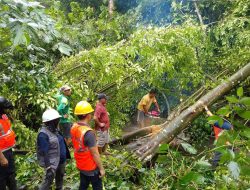 BPBD Kotamobagu Tinjau Tanah Longsor dan Pohon Tumbang di Mongondow