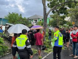 Kecelakaan Tunggal di Gorontalo, Pengemudi Mabuk Tabrak Pohon