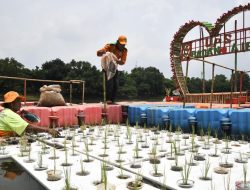 Terkubur Plastik: Ancaman Tersembunyi di Balik Subur Ladang