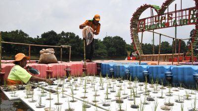 Ancaman Sampah Plastik di Balik Subur Ladang