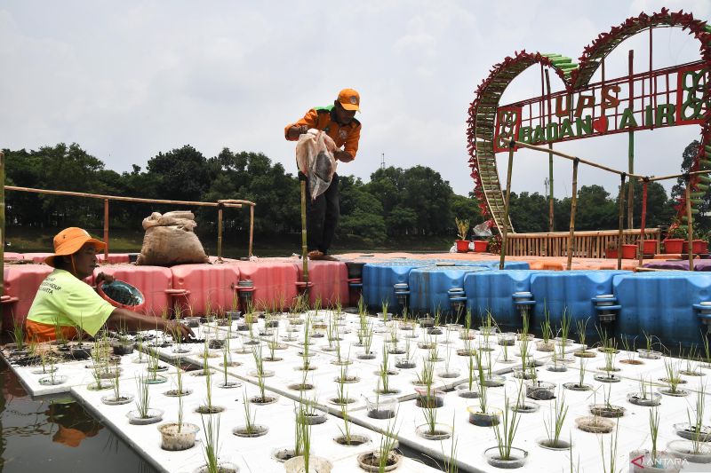 Ancaman Sampah Plastik di Balik Subur Ladang